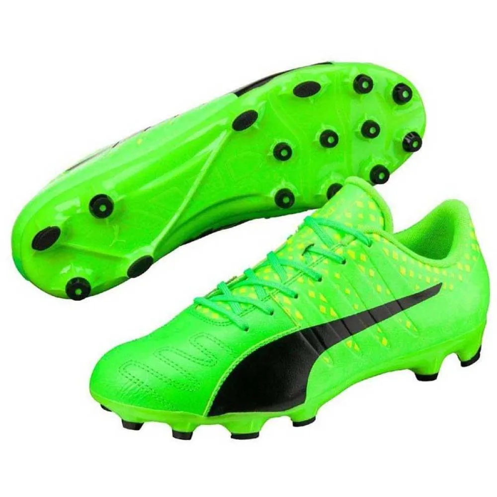 puma evopower ag