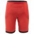 Dainese bike outlet Scarabeo Safety Protective Shorts Junior
