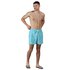 Regatta Mawson II Swimming Shorts