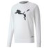 Puma Avenir Graphic Crew Sweatshirt