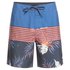 Quiksilver Every Division 17´´ Swimming Shorts