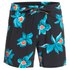 Quiksilver Badeshorts Mystic Session STR Volley 15´´