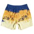 Quiksilver Thunderhead Volley 17´´ Swimming Shorts