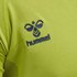 Hummel Led Pro Training Seamless short sleeve T-shirt